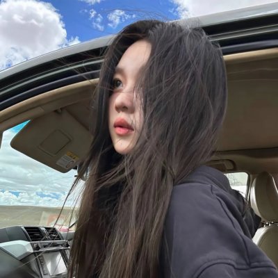 精灵高中