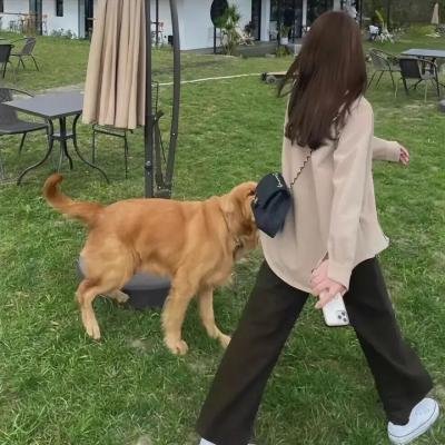 当我看着你